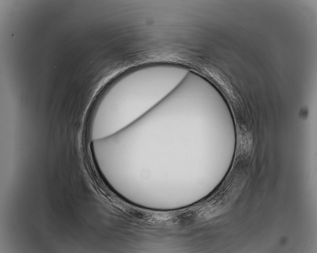 X0000098070583200804040729