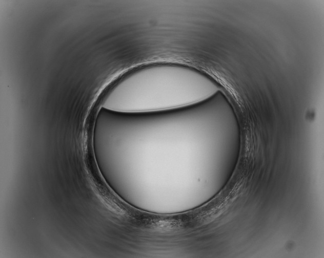 X0000098070584200804040729