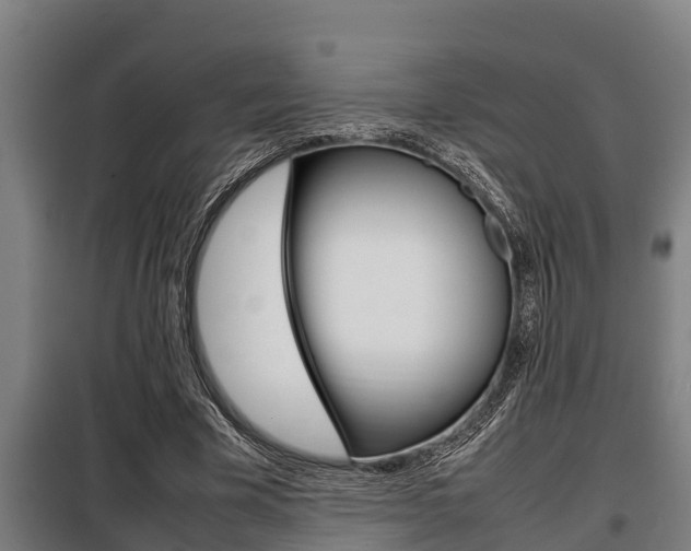 X0000098070585200804040729