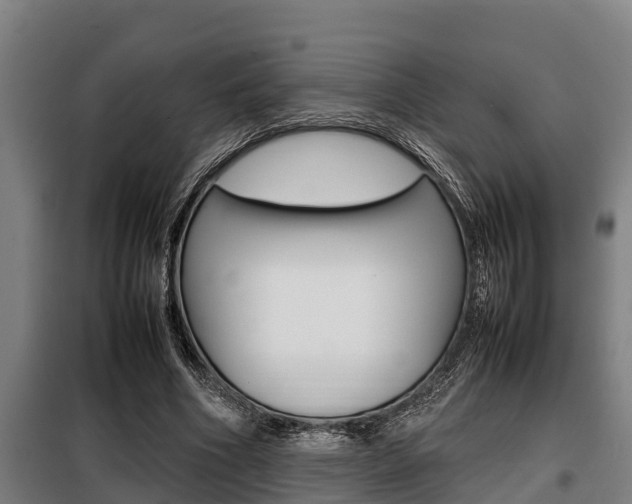 X0000098070586200804040729