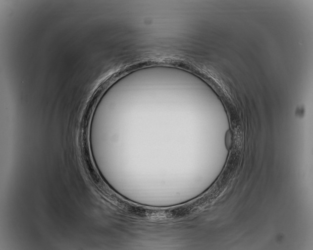 X0000098070587200804040729