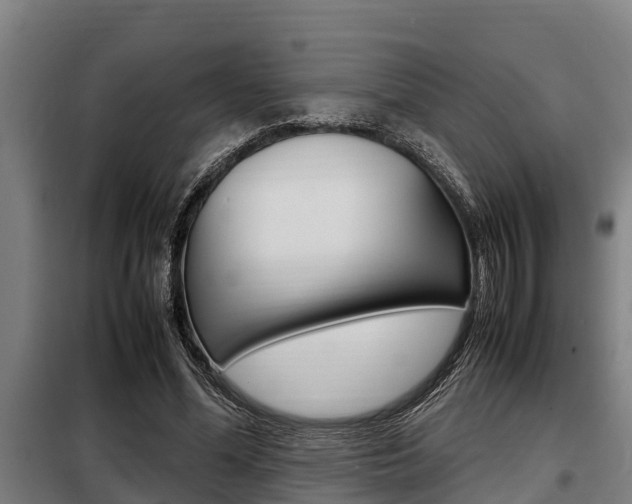 X0000098070588200804040729