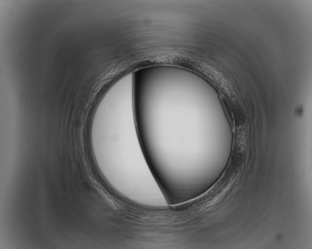 X0000098070589200804040729