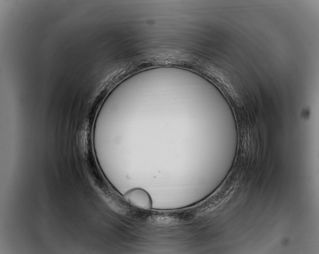 X0000098070590200804040729