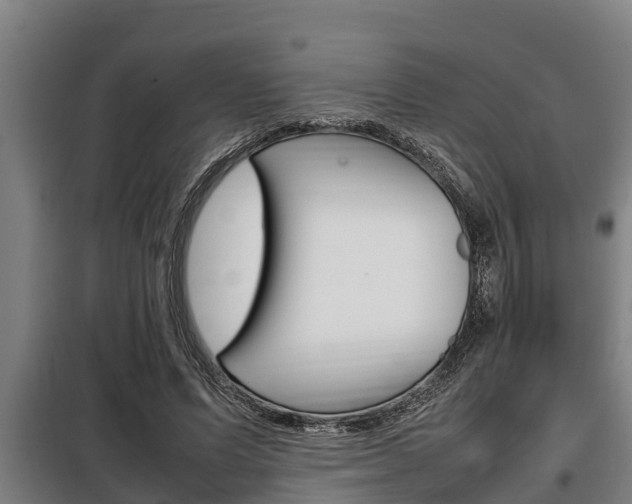 X0000098070591200804040729