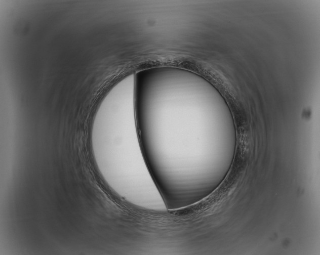 X0000098070593200804040729