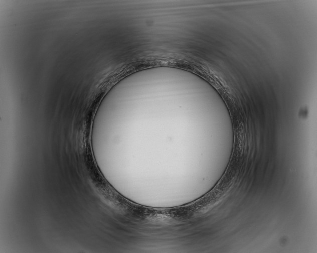 X0000098070594200804040729