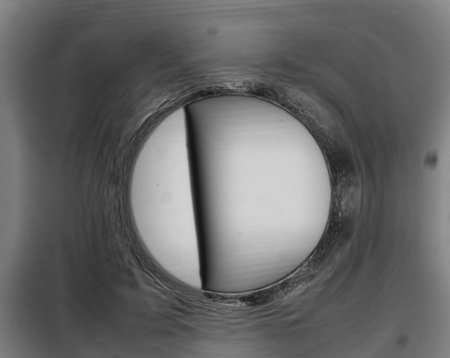 X0000098070595200804040729