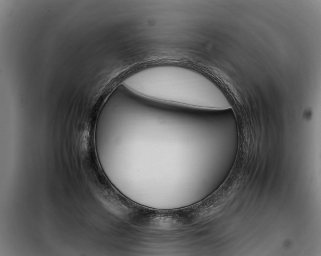 X0000098070596200804040729