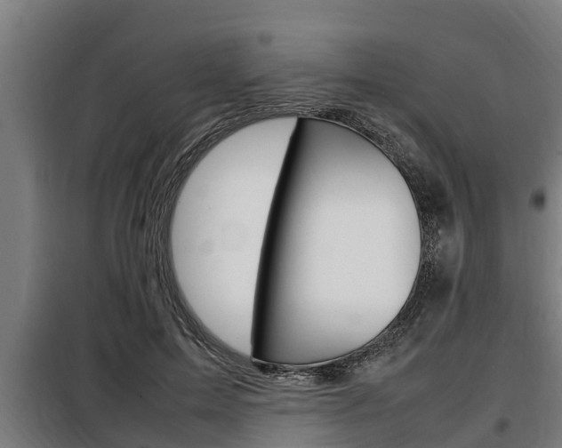 X0000098070599200804040729
