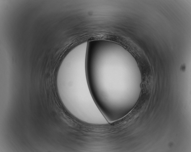 X0000098070601200804040729