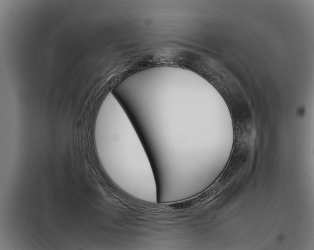 X0000098070603200804040729
