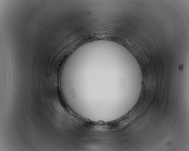 X0000098070606200804040729