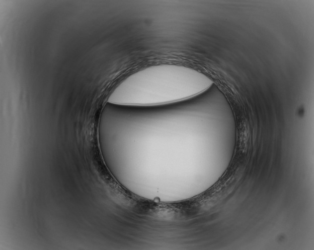 X0000098070608200804040729
