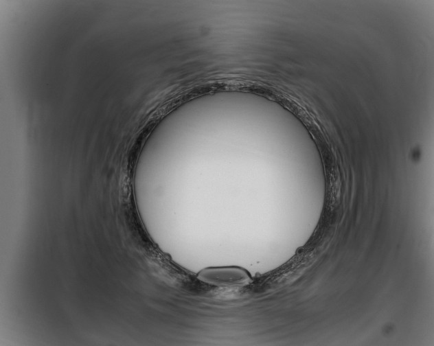 X0000098070609200804040729