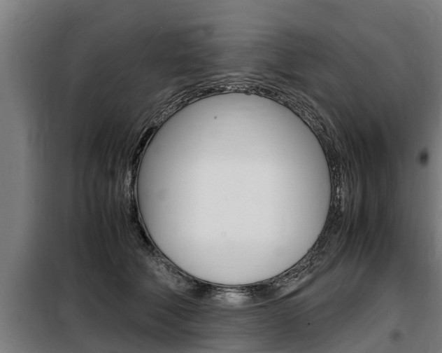 X0000098070610200804040729