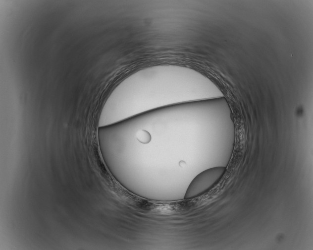 X0000098070611200804040729