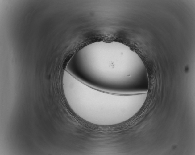 X0000098070613200804040729