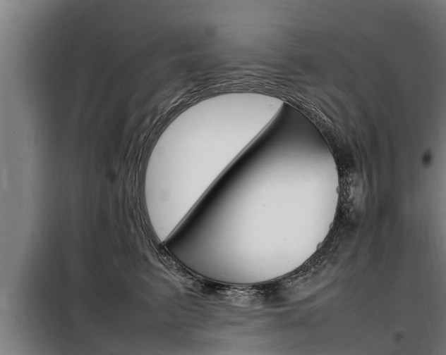 X0000098070615200804040729
