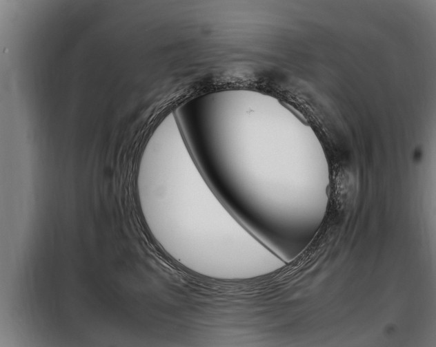X0000098070617200804040729