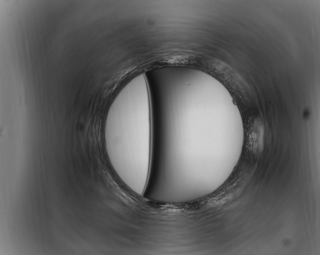 X0000098070620200804040729