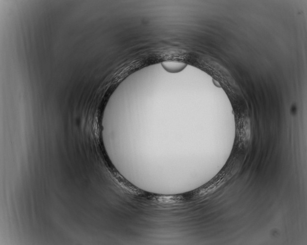 X0000098070622200804040729