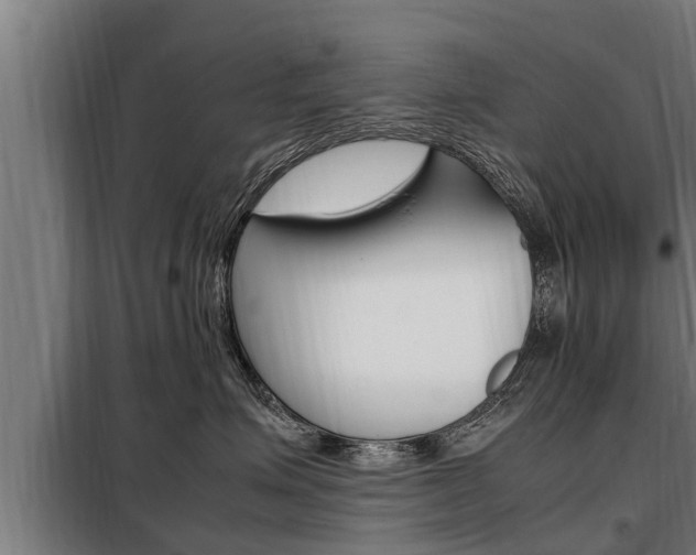 X0000098070623200804040729