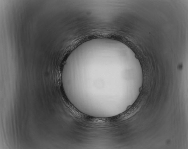 X0000098070624200804040729