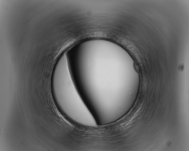X0000098070625200804040728