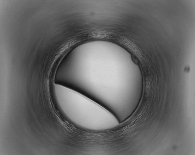 X0000098070626200804040728