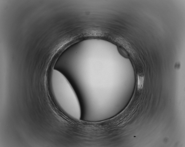 X0000098070627200804040728
