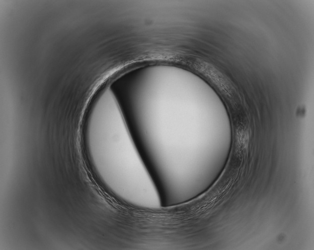 X0000098070628200804040728