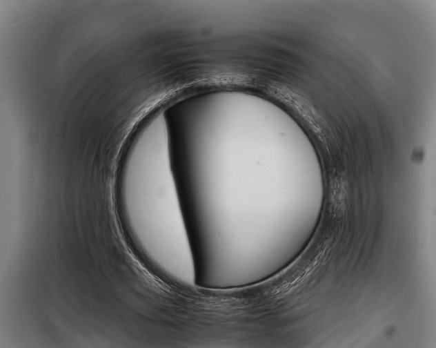 X0000098070629200804040728