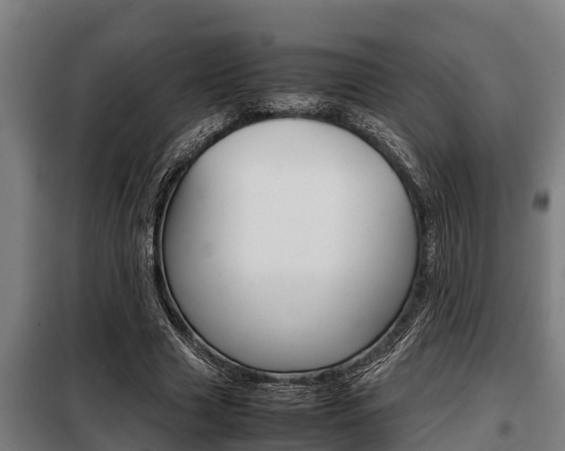 X0000098070633200804040728