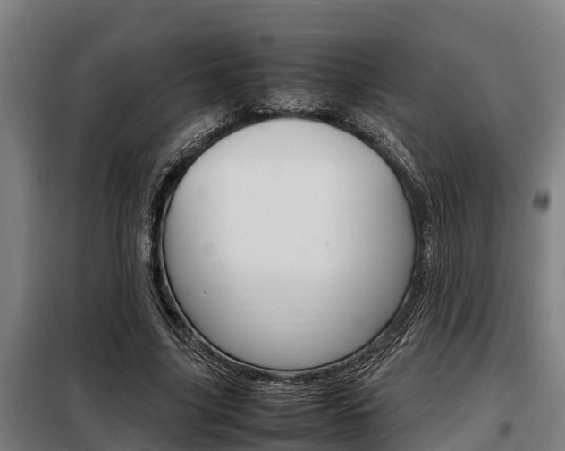 X0000098070635200804040728