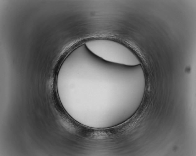 X0000098070636200804040728