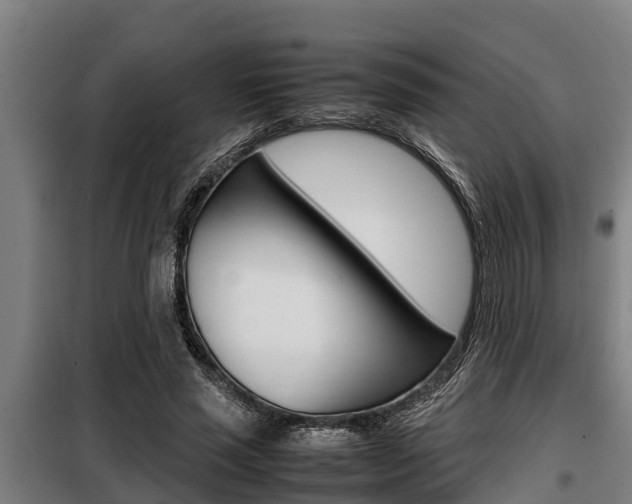 X0000098070637200804040728