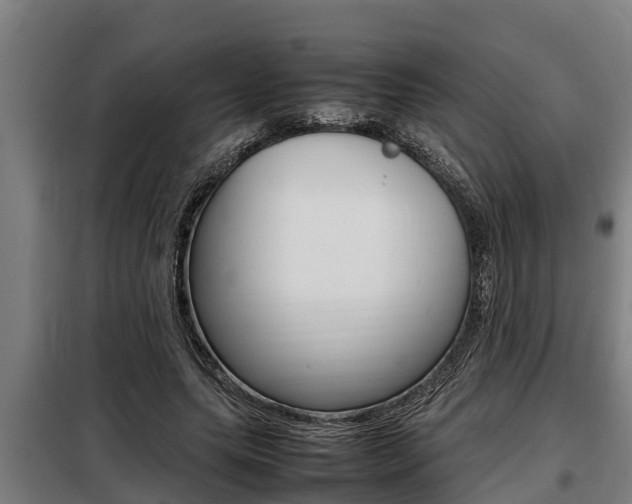 X0000098070639200804040728