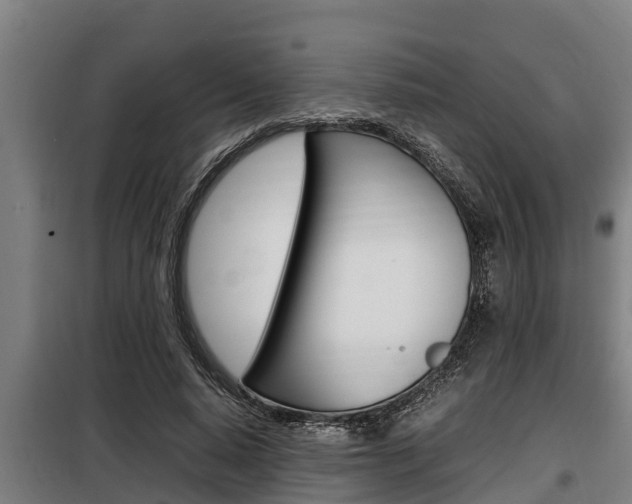 X0000098070640200804040728