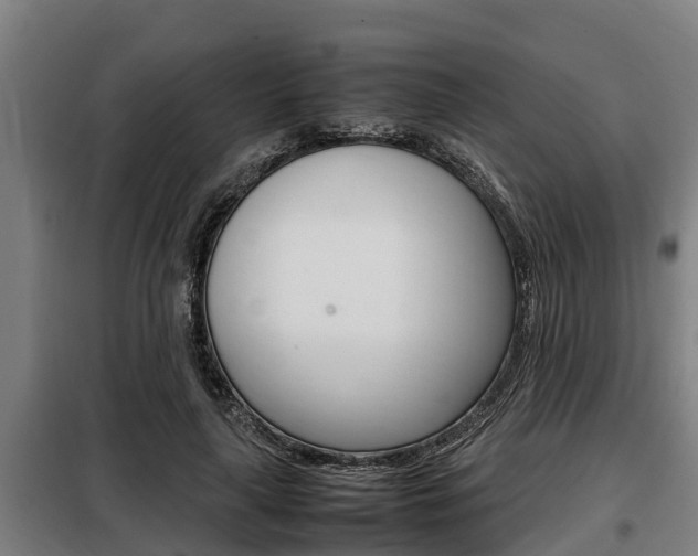 X0000098070643200804040728