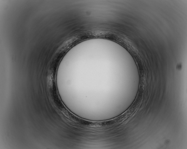 X0000098070644200804040728