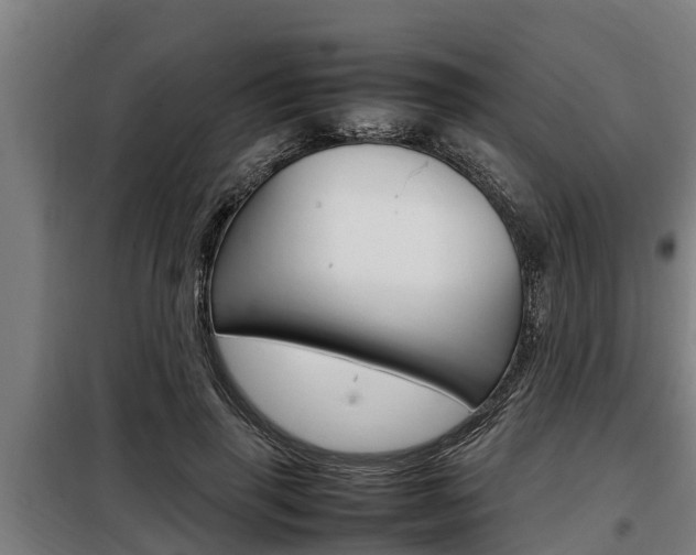 X0000098070645200804040728