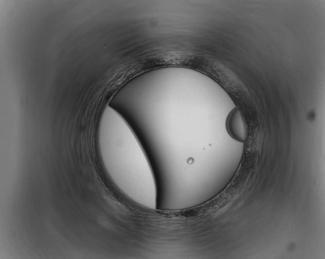 X0000098070646200804040728