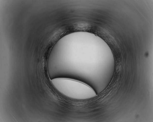 X0000098070647200804040728