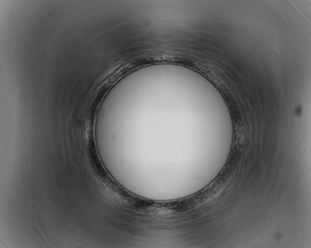 X0000098070648200804040728