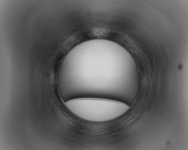 X0000098070651200804040729