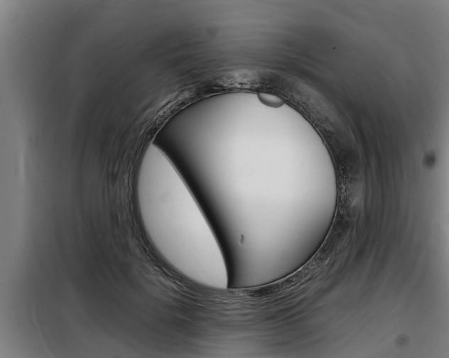 X0000098070652200804040729