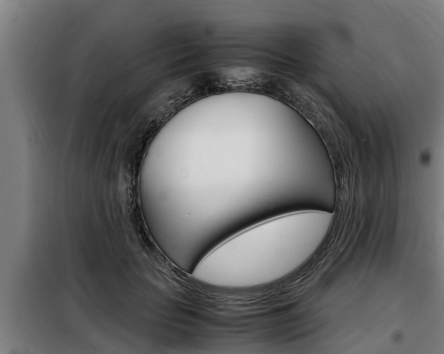 X0000098070653200804040729