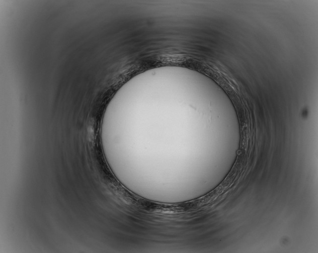 X0000098070655200804040729