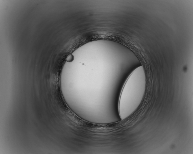 X0000098070657200804040729